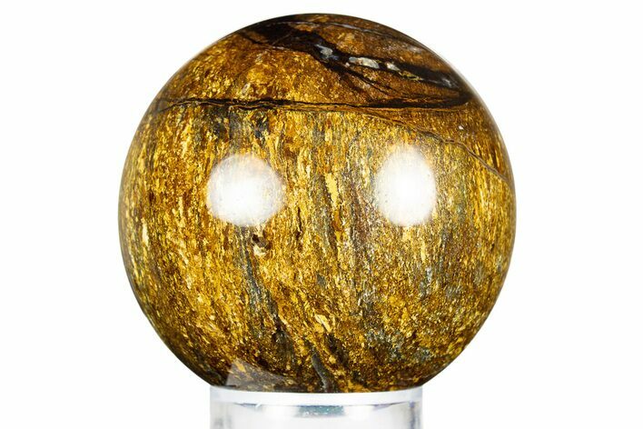 Golden Amphibolite Sphere - Western Australia #309134